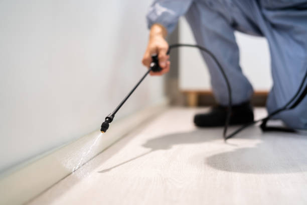 Licensed Fumigation Services service in Laurel, MS - Nex Pest Control