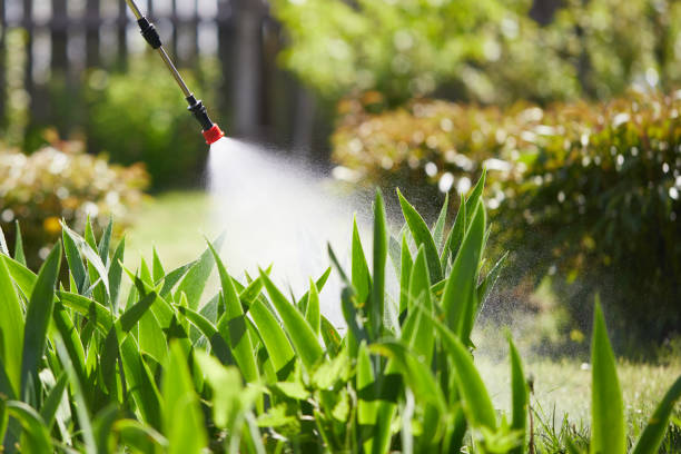 24/7 Emergency Fumigation Services experts in Laurel, MS